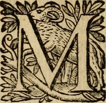 An illustration from Roma vetus ac recens vtriusque aedificiis ad eruditam cognitionem expositis, 1639, leaf 333