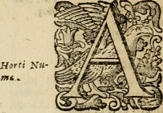 An illustration from Roma vetus ac recens vtriusque aedificiis ad eruditam cognitionem expositis, 1639, leaf 335