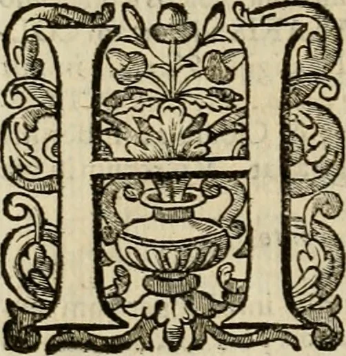 An illustration from Roma vetus ac recens vtriusque aedificiis ad eruditam cognitionem expositis, 1639, leaf 349