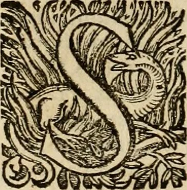 An illustration from Roma vetus ac recens vtriusque aedificiis ad eruditam cognitionem expositis, 1639, leaf 361
