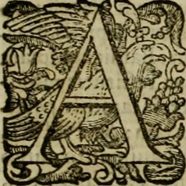 An illustration from Roma vetus ac recens vtriusque aedificiis ad eruditam cognitionem expositis, 1639, leaf 364