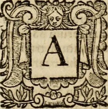 An illustration from Roma vetus ac recens vtriusque aedificiis ad eruditam cognitionem expositis, 1639, leaf 367