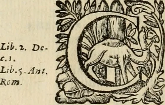 An illustration from Roma vetus ac recens vtriusque aedificiis ad eruditam cognitionem expositis, 1639, leaf 37