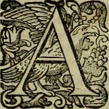 An illustration from Roma vetus ac recens vtriusque aedificiis ad eruditam cognitionem expositis, 1639, leaf 370