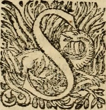 An illustration from Roma vetus ac recens vtriusque aedificiis ad eruditam cognitionem expositis, 1639, leaf 379
