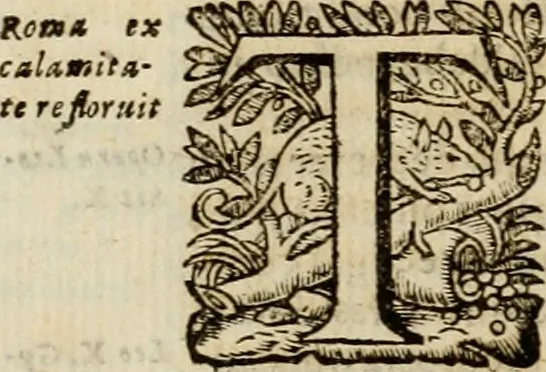An illustration from Roma vetus ac recens vtriusque aedificiis ad eruditam cognitionem expositis, 1639, leaf 397
