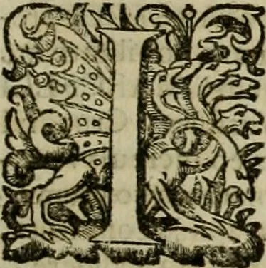 An illustration from Roma vetus ac recens vtriusque aedificiis ad eruditam cognitionem expositis, 1639, leaf 404