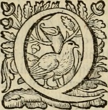 An illustration from Roma vetus ac recens vtriusque aedificiis ad eruditam cognitionem expositis, 1639, leaf 41