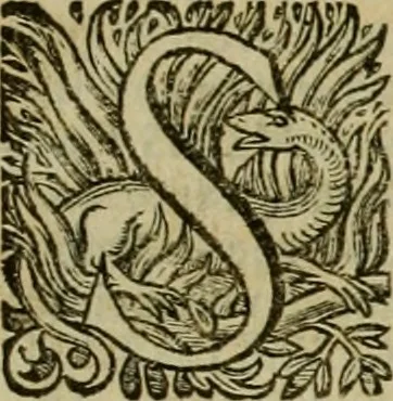 An illustration from Roma vetus ac recens vtriusque aedificiis ad eruditam cognitionem expositis, 1639, leaf 412