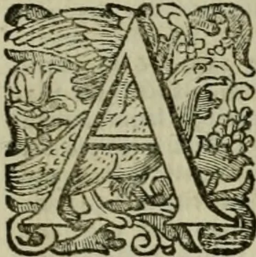 An illustration from Roma vetus ac recens vtriusque aedificiis ad eruditam cognitionem expositis, 1639, leaf 426