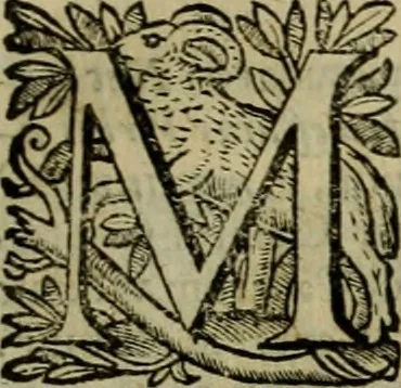 An illustration from Roma vetus ac recens vtriusque aedificiis ad eruditam cognitionem expositis, 1639, leaf 52