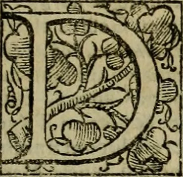 An illustration from Roma vetus ac recens vtriusque aedificiis ad eruditam cognitionem expositis, 1639, leaf 54