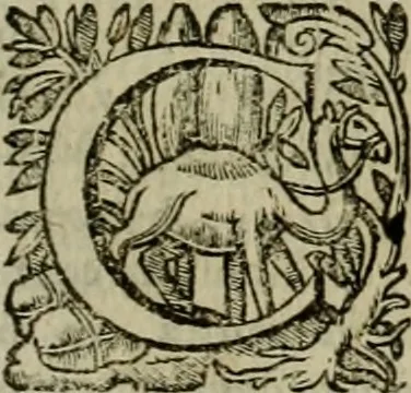 An illustration from Roma vetus ac recens vtriusque aedificiis ad eruditam cognitionem expositis, 1639, leaf 56