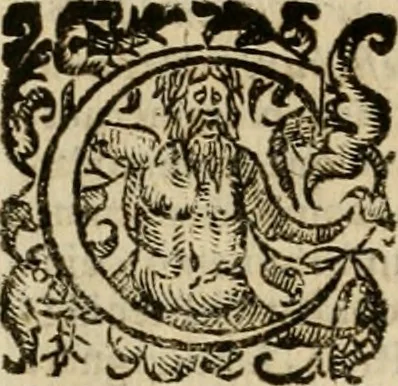 An illustration from Roma vetus ac recens vtriusque aedificiis ad eruditam cognitionem expositis, 1639, leaf 59