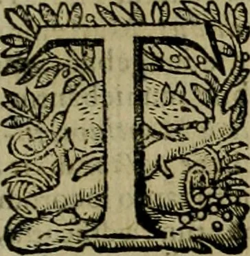 An illustration from Roma vetus ac recens vtriusque aedificiis ad eruditam cognitionem expositis, 1639, leaf 62