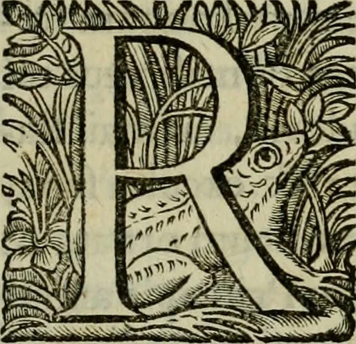 An illustration from Roma vetus ac recens vtriusque aedificiis ad eruditam cognitionem expositis, 1639, leaf 8