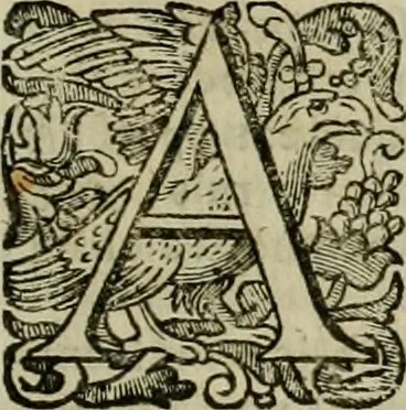 An illustration from Roma vetus ac recens vtriusque aedificiis ad eruditam cognitionem expositis, 1639, leaf 82