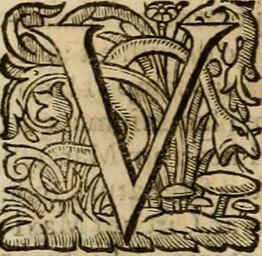 An illustration from Roma vetus ac recens vtriusque aedificiis ad eruditam cognitionem expositis, 1639, leaf 99