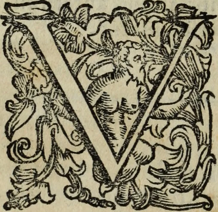 An illustration from Roma vetus ac recens, vtriusque aedificiis ad eruditam cognitionem expositis, 1665, leaf 131