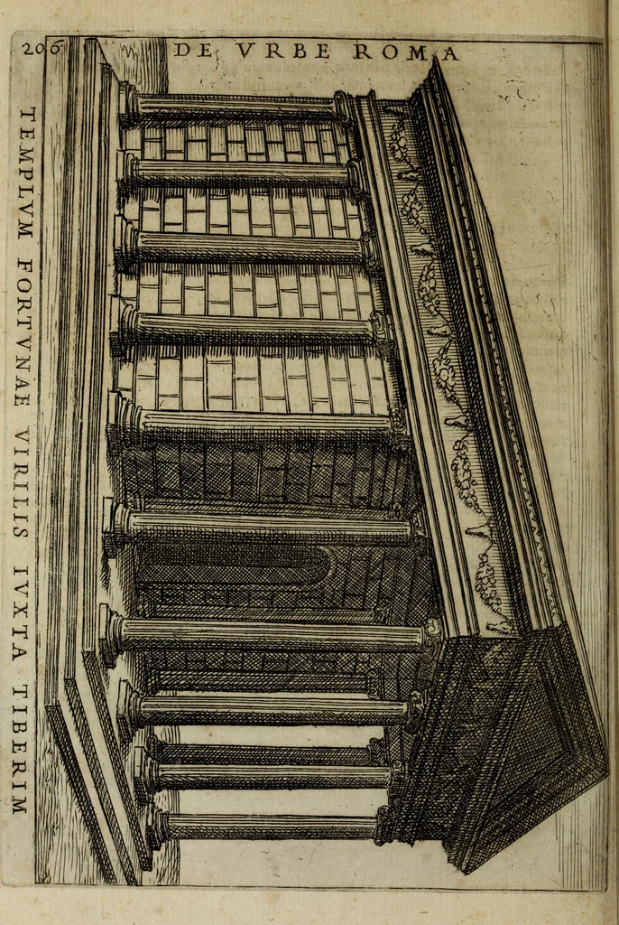 An illustration from Roma vetus ac recens, vtriusque aedificiis ad eruditam cognitionem expositis, 1665, leaf 227