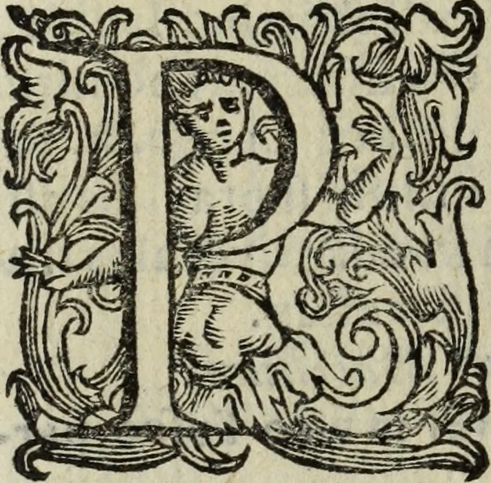 An illustration from Roma vetus ac recens, vtriusque aedificiis ad eruditam cognitionem expositis, 1665, leaf 237