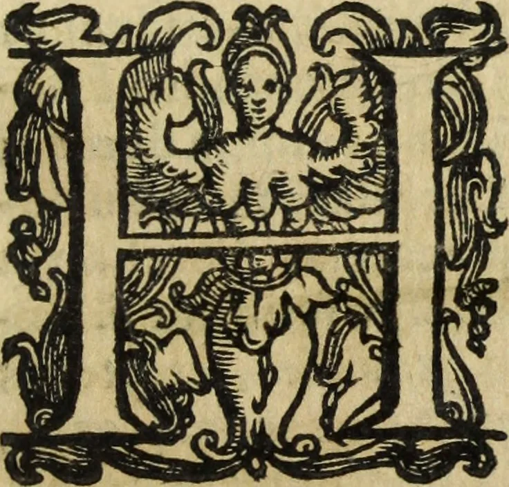 An illustration from Roma vetus ac recens, vtriusque aedificiis ad eruditam cognitionem expositis, 1665, leaf 480