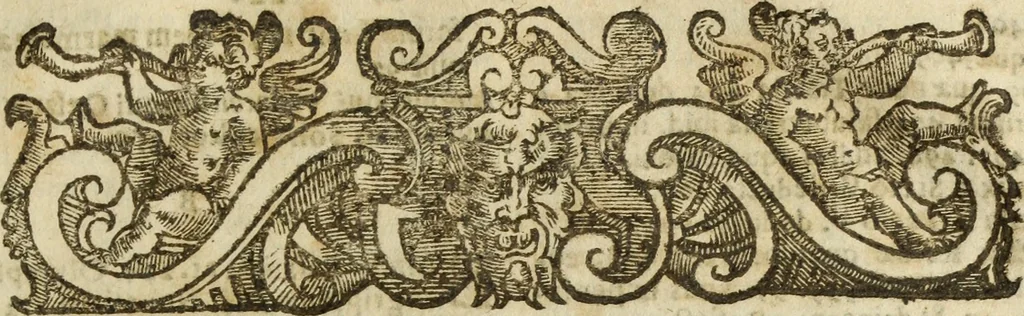 An illustration from Roma vetus ac recens, vtriusque aedificiis ad eruditam cognitionem expositis, 1665, leaf 574