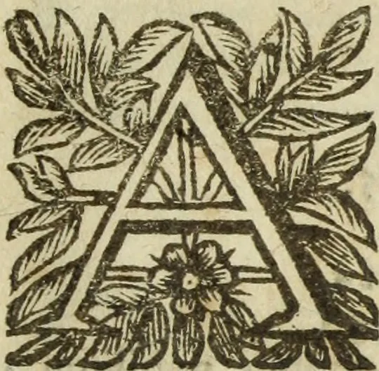 An illustration from Roma vetus ac recens, vtriusque aedificiis ad eruditam cognitionem expositis, 1665, leaf 574