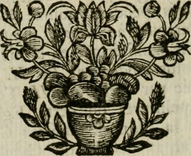 An illustration from Rome moderne : premiére ville de l'Europe : avec toutes ses magnificences et ses delices : nouvellement & très-exactement décrite ... : ce qui est suivi d'une description très-exacte du gouvernement & de l'Etat de Rome, aussi bien que des fonctions publiques du Pape & de tous ceux qui ont des emplois auprès de lui ... : le tout divisé en six tomes, 1713, leaf 359