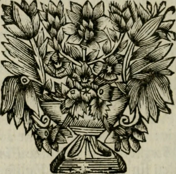 An illustration from Rome moderne : premiére ville de l'Europe : avec toutes ses magnificences et ses delices : nouvellement & très-exactement décrite ... : ce qui est suivi d'une description très-exacte du gouvernement & de l'Etat de Rome, aussi bien que des fonctions publiques du Pape & de tous ceux qui ont des emplois auprès de lui ... : le tout divisé en six tomes, 1713, leaf 267