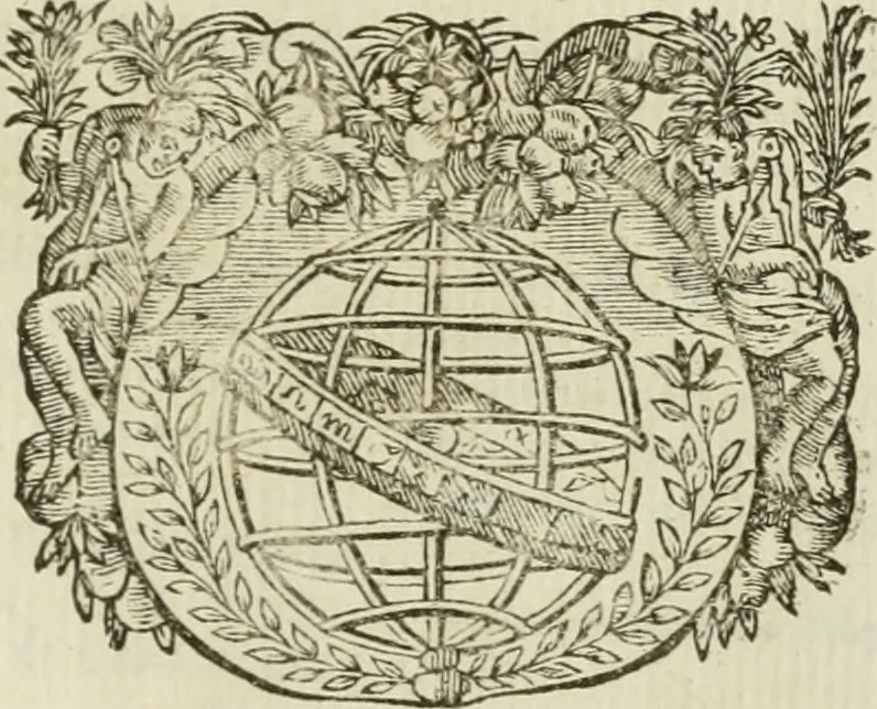 An illustration from Rome moderne : premiére ville de l'Europe : avec toutes ses magnificences et ses delices : nouvellement & très-exactement décrite ... : ce qui est suivi d'une description très-exacte du gouvernement & de l'Etat de Rome, aussi bien que des fonctions publiques du Pape & de tous ceux qui ont des emplois auprès de lui ... : le tout divisé en six tomes, 1713, leaf 344