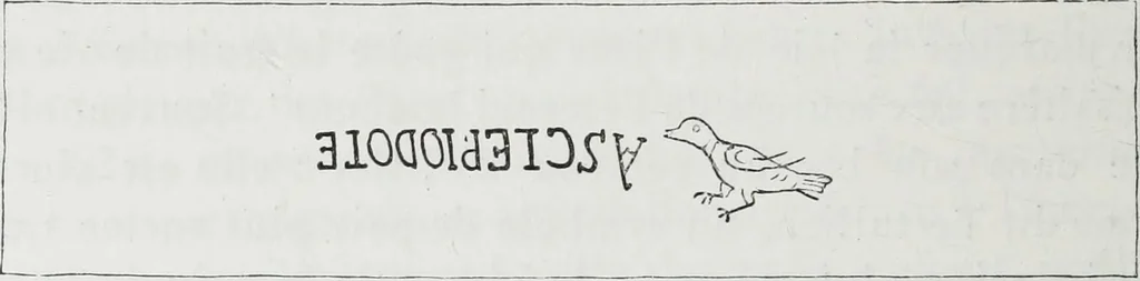 An illustration from Rome souterraine : resume des decouvertes de M. de Rossi dans les catacombes romaines, et en particulier dans le cimetiere de Calliste, 1872, leaf 303