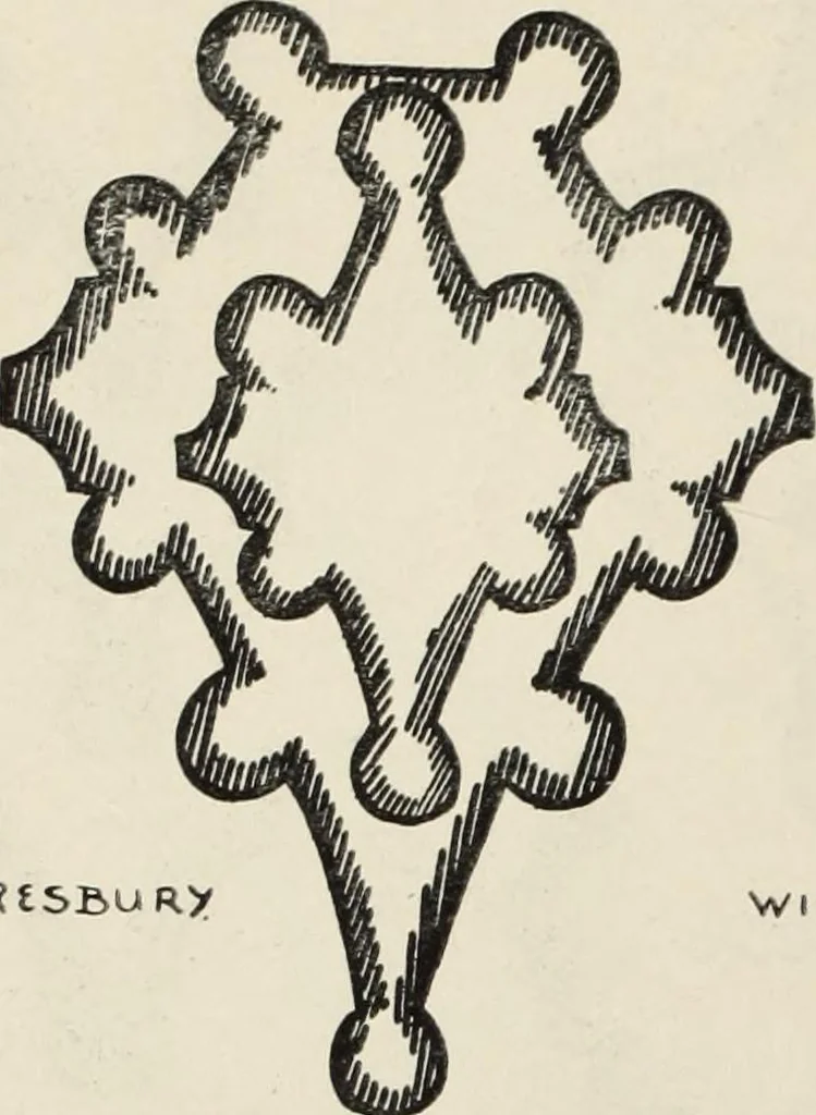 An illustration from Roodscreens and roodlofts, 1909, leaf 269