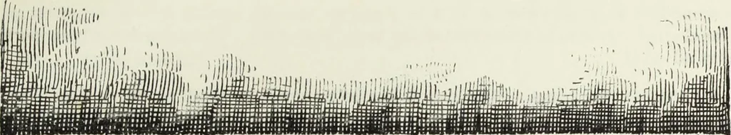 An illustration from Roodscreens and roodlofts, 1909, leaf 304