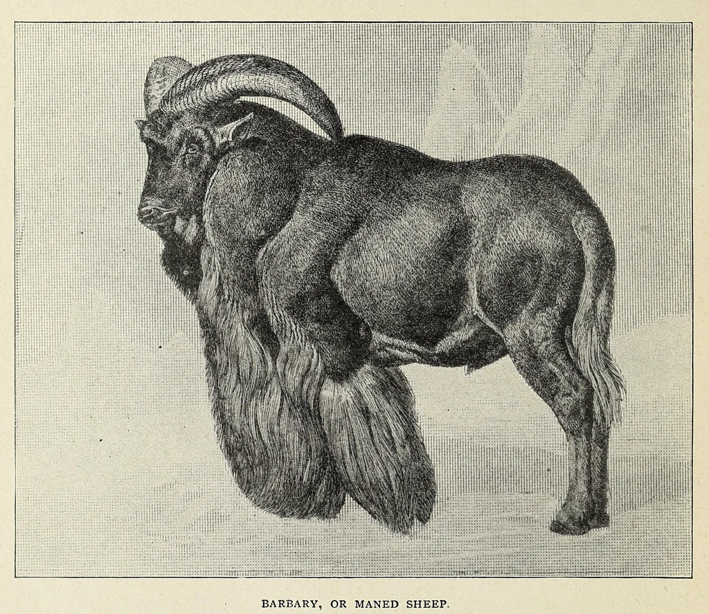 An illustration from Roosevelt in Africa : graphic account of the world's most renowned hunter in the wilds of Africa, his unerring aim and wonderful ability as a hunter, encounters with lions, tigers, elephants and other wild beasts of the jungle : containing also a complete history and study of wild animals of the world, their appearance, habits, traits of character and every detail of their wild life, with thrilling and exciting experiences of hunters of big game in all parts of the globe, including mortal combats between ferocious wild animals, dangerous and daring exploits, and hair-breadth escapes, 1909, leaf 208