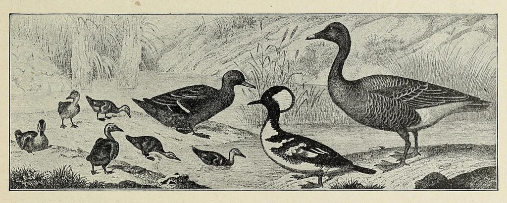 An illustration from Roosevelt in Africa : graphic account of the world's most renowned hunter in the wilds of Africa, his unerring aim and wonderful ability as a hunter, encounters with lions, tigers, elephants and other wild beasts of the jungle : containing also a complete history and study of wild animals of the world, their appearance, habits, traits of character and every detail of their wild life, with thrilling and exciting experiences of hunters of big game in all parts of the globe, including mortal combats between ferocious wild animals, dangerous and daring exploits, and hair-breadth escapes, 1909, leaf 527