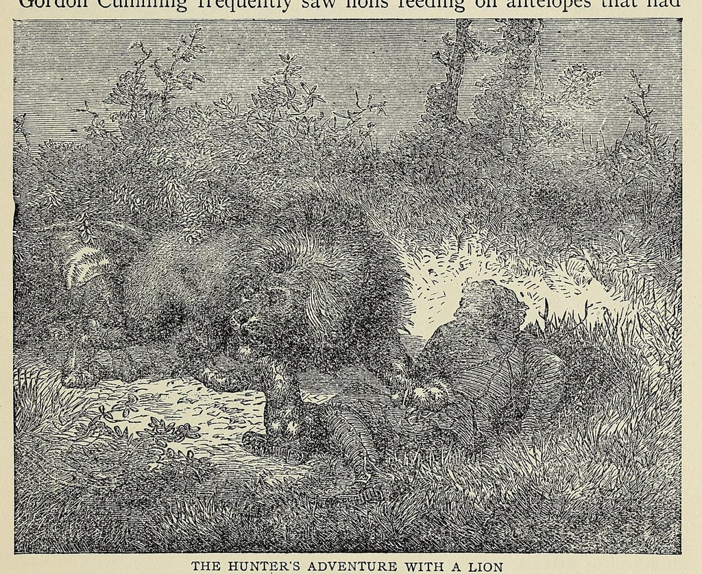 An illustration from Roosevelt's African trip : the story of his life, the voyage from New York to Mombasa, and the route through the heart of Africa, including the big game and other ferocious animals, strange peoples and countries found in the course of his travels, 1909, leaf 253