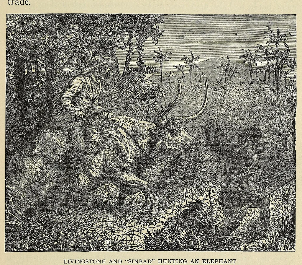An illustration from Roosevelt's African trip : the story of his life, the voyage from New York to Mombasa, and the route through the heart of Africa, including the big game and other ferocious animals, strange peoples and countries found in the course of his travels, 1909, leaf 355