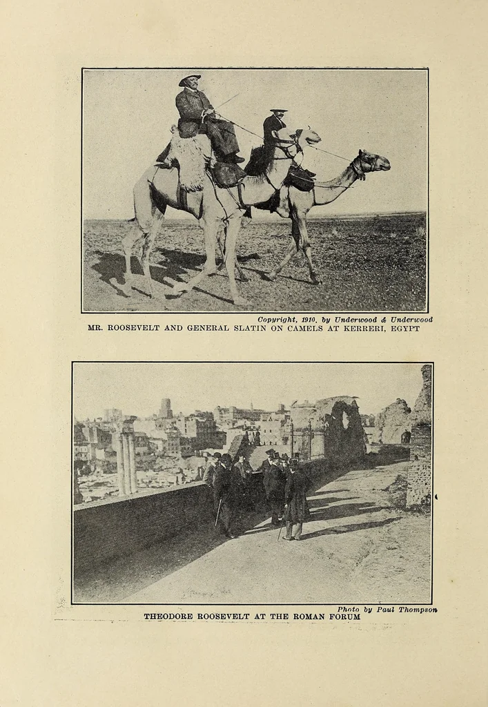 An illustration from Roosevelt's African trip : the story of his life, the voyage from New York to Mombasa, and the route through the heart of Africa, including the big game and other ferocious animals, strange peoples and countries found in the course of his travels, 1909, leaf 44