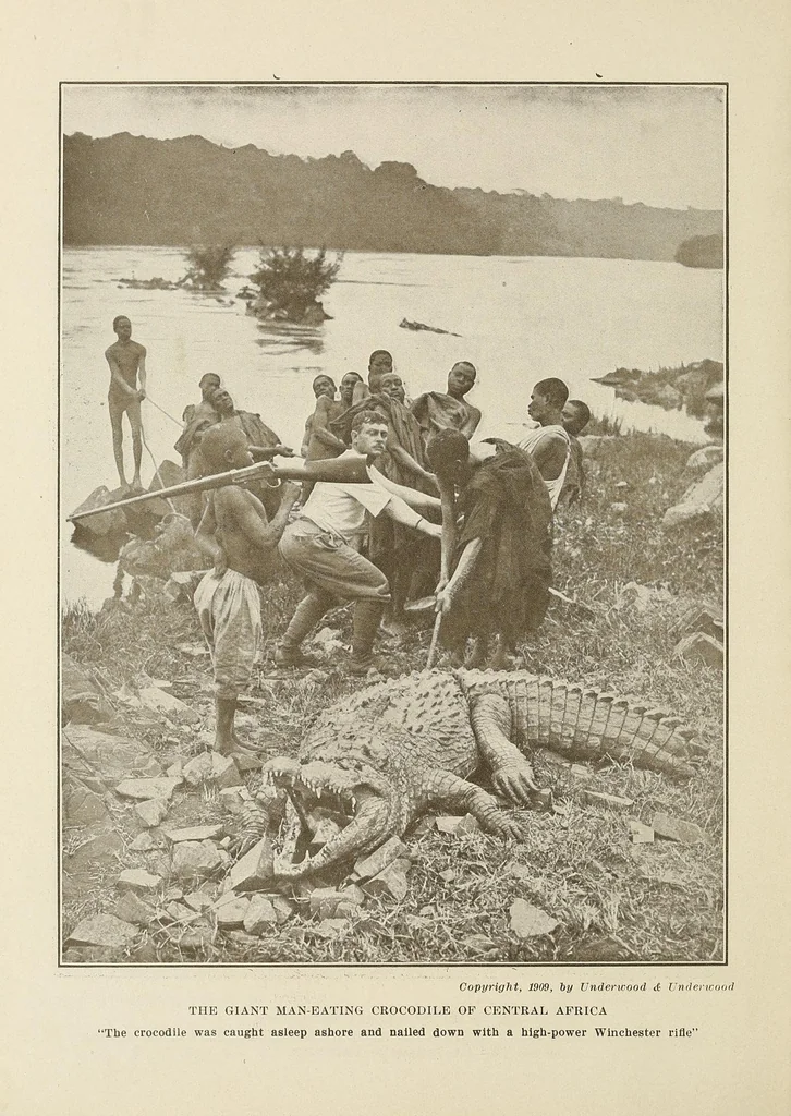 An illustration from Roosevelt's African trip : the story of his life, the voyage from New York to Mombasa, and the route through the heart of Africa : including the big game and other ferocious animals, strange peoples and countries found in the course of this travels, 1909, leaf 26