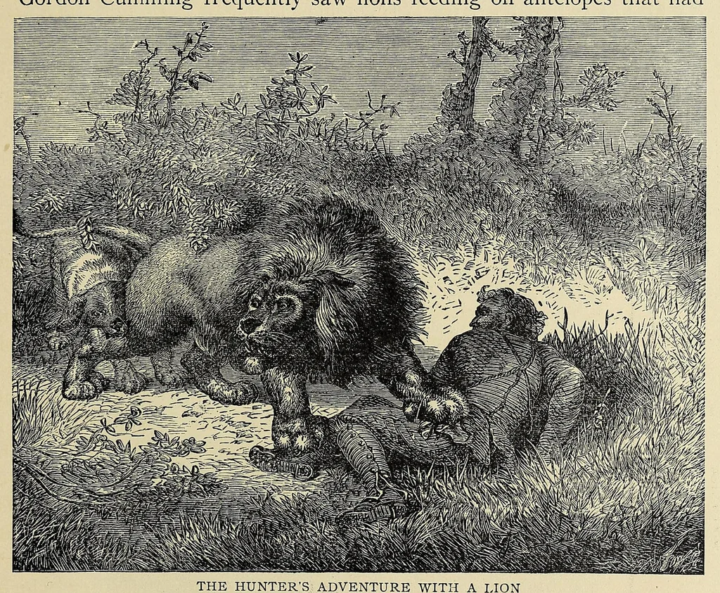 An illustration from Roosevelt's African trip : the story of his life, the voyage from New York to Mombasa, and the route through the heart of Africa : including the big game and other ferocious animals, strange peoples and countries found in the course of this travels, 1909, leaf 67
