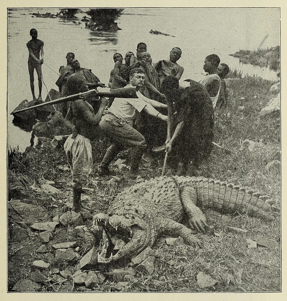 An illustration from Roosevelt's thrilling experiences in the wilds of Africa hunting big game ..., 1909, leaf 57