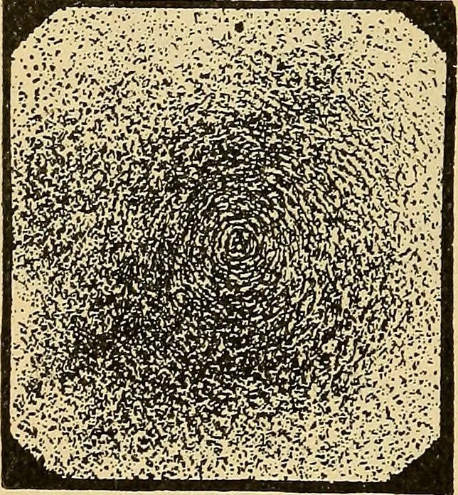An illustration from Roper's catechism for steam engineers and electricians .., 1899, leaf 277
