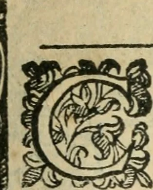An illustration from Rosario della gloriosa Vergine Maria : con le stationi, & indulgentie delle chiese di Roma per tutto l'anno : di nuouo stampato, & ricorretto con nuoue & belle figure adornato, 1591, leaf 118