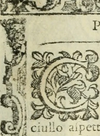 An illustration from Rosario della gloriosa Vergine Maria : con le stationi, & indulgentie delle chiese di Roma per tutto l'anno : di nuouo stampato, & ricorretto con nuoue & belle figure adornato, 1591, leaf 136