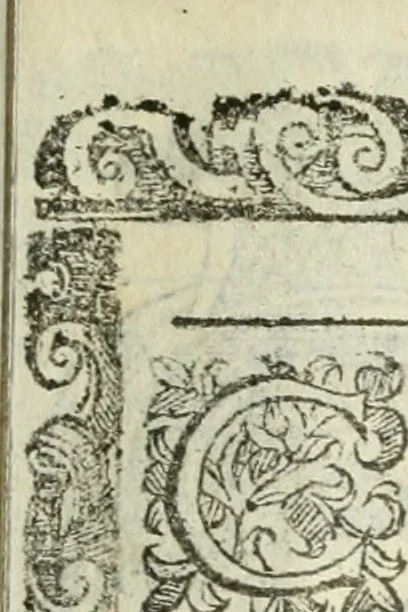 An illustration from Rosario della gloriosa Vergine Maria : con le stationi, & indulgentie delle chiese di Roma per tutto l'anno : di nuouo stampato, & ricorretto con nuoue & belle figure adornato, 1591, leaf 142
