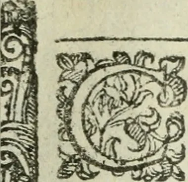 An illustration from Rosario della gloriosa Vergine Maria : con le stationi, & indulgentie delle chiese di Roma per tutto l'anno : di nuouo stampato, & ricorretto con nuoue & belle figure adornato, 1591, leaf 144