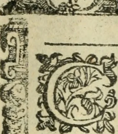 An illustration from Rosario della gloriosa Vergine Maria : con le stationi, & indulgentie delle chiese di Roma per tutto l'anno : di nuouo stampato, & ricorretto con nuoue & belle figure adornato, 1591, leaf 174