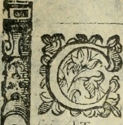 An illustration from Rosario della gloriosa Vergine Maria : con le stationi, & indulgentie delle chiese di Roma per tutto l'anno : di nuouo stampato, & ricorretto con nuoue & belle figure adornato, 1591, leaf 196