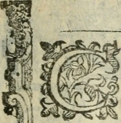 An illustration from Rosario della gloriosa Vergine Maria : con le stationi, & indulgentie delle chiese di Roma per tutto l'anno : di nuouo stampato, & ricorretto con nuoue & belle figure adornato, 1591, leaf 200